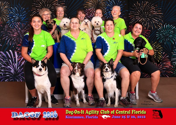 agility club